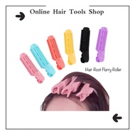 Hair Root Flurry Rollers 2 pcs