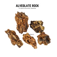 Aquascape Alveolate Rock ( Dragon Stone ) decoration for aquarium. Batu Hiasan akuarium ikan