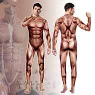 Halloween Men Women Avatar Muscle cos Stage Performance Costume Funny Costume Bodysuit Halloween Men