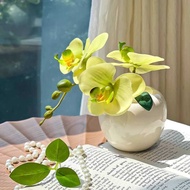 Mini Flower Exquisite Phalaenopsis Bionic Flower Artificial Flower Artificial Flower Decoration Wash