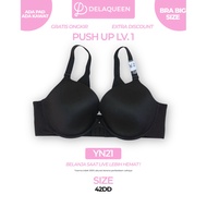 Delaqueen | Bra Jumbo Size Bra 42DD YN21