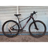 RALEIGH ELITE MTB 29