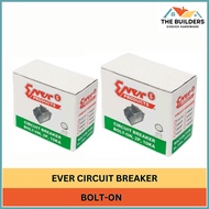 EVER CIRCUIT BREAKER PLUG-IN/ BOLT-ON 15AM,20AM,30AM,40AM,60AM,100AM