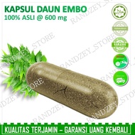 Neem leaf capsules embo cancer medicine lymph node thyroid natural antioxidant health supplement