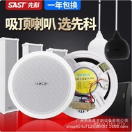 Speaker Embedded Background Music Stereo Hot-Selling Household Ceiling Cross-Border Indoor Speaker C