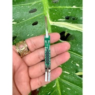 2s 10a XR circuit has zinc to protect 8.4v 18650 Li-Ion battery. TL TL