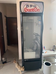 飲品凍櫃 陳列冰櫃