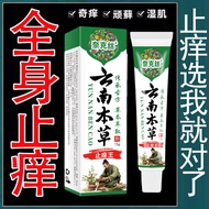 Skin Antibacterial Cream Wet External Use Whole Body Fungus Anti-Itch King Herbal Anti-Itch Ointment