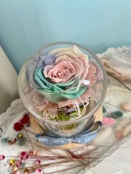 最後清貨 生日禮物 情侶 彩色保鮮花LED 永生花 玻璃瓶 花瓶