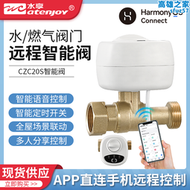 【全館免運】水享wifi鴻蒙智能電磁閥聯動水浸衛士燃氣警報器漏水漏氣保護神器