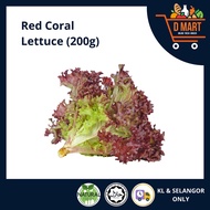 D Mart Red Coral Lettuce (200g)