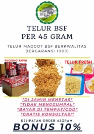 telur bsf super 45 gram telur maggot bsf termurah telur lalat bsf berkwalitas
