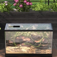 Breeding Terrarium Box For Habitat Cricket Reptile Amphibian Turtle Spider Ant Farm Decoration