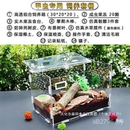 Mantis Spider Climbing Pet Acrylic Breeding Pet Box Package Transparent Stag Beetle Box Breeding Box