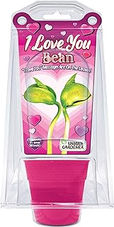 Unique Gardener I Love You Beans Lima Bean Grow Kit, Includes 2 Engraved Beans, Terrarium, Planter, and Germination Disk, Sprouts in 1 Week
