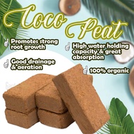 <GardenMart4u> Compressed Block Brick Coco Peat Sabut Kelapa Tanah Tanaman Pokok Semaian 650g