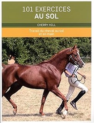 EKKIA 903230 903230 Equestrian Equipment 101 EXERCICES AU SOL