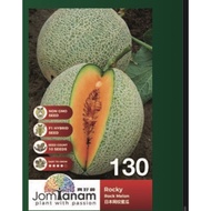 Rock Melon Seed - Rocky