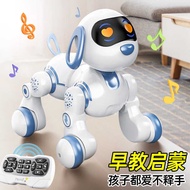 Temu Hot Sale Children Remote Control Intelligent Early Education Educational Toys Motor Ro