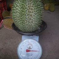 2 Durian Mk Musangking Dan Duri Hitam Malaysia Xeon