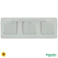 Schneider 6G Leona Switch 6 Gang With 3 Gang Frame