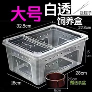 Reptile Breeding Box Amphibian Snail Spider Gecko Horned Frog Large Turtle Box with Hideout and Land
