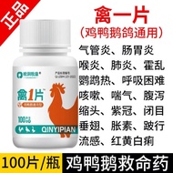 A variety of bird diseases chicken duck geese cold bird firs bird diseases chicken duck goose cold b