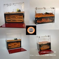 Ant Villa Ant Nest Ant Workshop Ant Castle Ant Pet Acrylic Nest Handmade Ant Nest