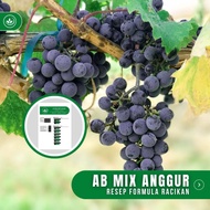 Resep AB Mix Anggur Formula Racikan Nutrisi AB Mix Buah Anggur
