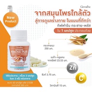 กระชายขาว กิฟฟารีน กระชาย-พลัส KRACHAI-PLUS