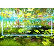 ADA Nature Aquarium NA Calendar 2022 2023