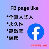FB主页华人page like/粉丝follower👍