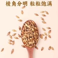 [Perfect Brewing Substitute] Roasted barley tea, restaurant-grade, barley/tea/malt blend