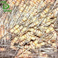 Resistor 27K Ohm 27 K 0.2Watt 1/2W 5% Pcmelebik54 tolerance