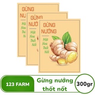 SNACK - GỪNG NƯỚNG MẬT HOA THỐT NỐT 123FARM  300GR E