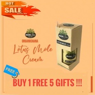 🎉 ON SALE 🎉 Lotus Mole Cream (Krim Buang Tahi Lalat, Ketuat, Skin Tag, Buang Kutil) Berkesan