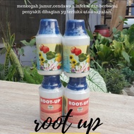 Root Up