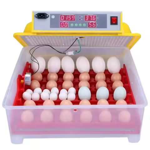hot sales Solar Energy Egg Hatchery Fertile Parrot Eggs Ostrich Incubator Brinsea Incubator Industri