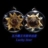 Powerful Lucky Star 五方霸王天眼幸运星  Luang Phu Pinak