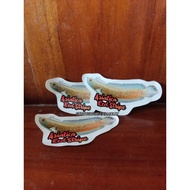 Aquarium Channa Snakehead Sticker Asiatica Red Stripe