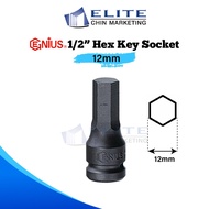 12mm x 1/2" Hex Bit Socket/ Hex Key Socket/ Allen Key Bit Socket/ Hex Impact Bit Socket