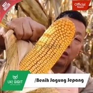 ( 500 Butir ) Benih Jagung Jepang Raksasa | Jumbo