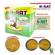 (ยกโหล 12 กล่อง) กาวดักหนู ตรา N-RAT แบบสำเร็จพร้อมใช้ แกะกล่องใช้ได้เลย กาว