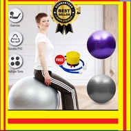 PANDA STORE Yoga Ball Gym Resistance Fitness Sports Yoga Ball Bola Pilates Balance Fitball Exercise equ