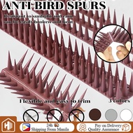 Bird Repellents Fence Bird Spike Plastic Security Fence Spikes Bird Spikes Bird Cat Deterrent Spikes