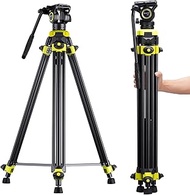 Cayer BV01 Compact Video Tripod with Fluid Head - 65" Heavy Duty Tripod with 360° Video Head, Lightw