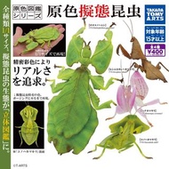 【日版全套】TOMY - 生物圖鑑 螳螂立體圖鑑