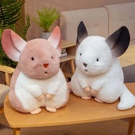 Toy Chinchillas Plush Pillow Home Decoration Cushion Stuffed Toys Chinchillas Plush Doll Hamster Plu