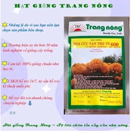 F1 dwarf marigold seeds, lemon yellow, orange, pack of 20 seeds