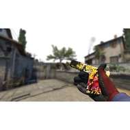 CSGO skins Glock Bullet Queen & USP Monster Mashup(Field-Tested)